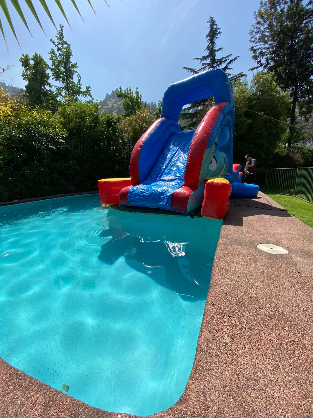 Tobogan delfín - Caída piscina - Imagen 4