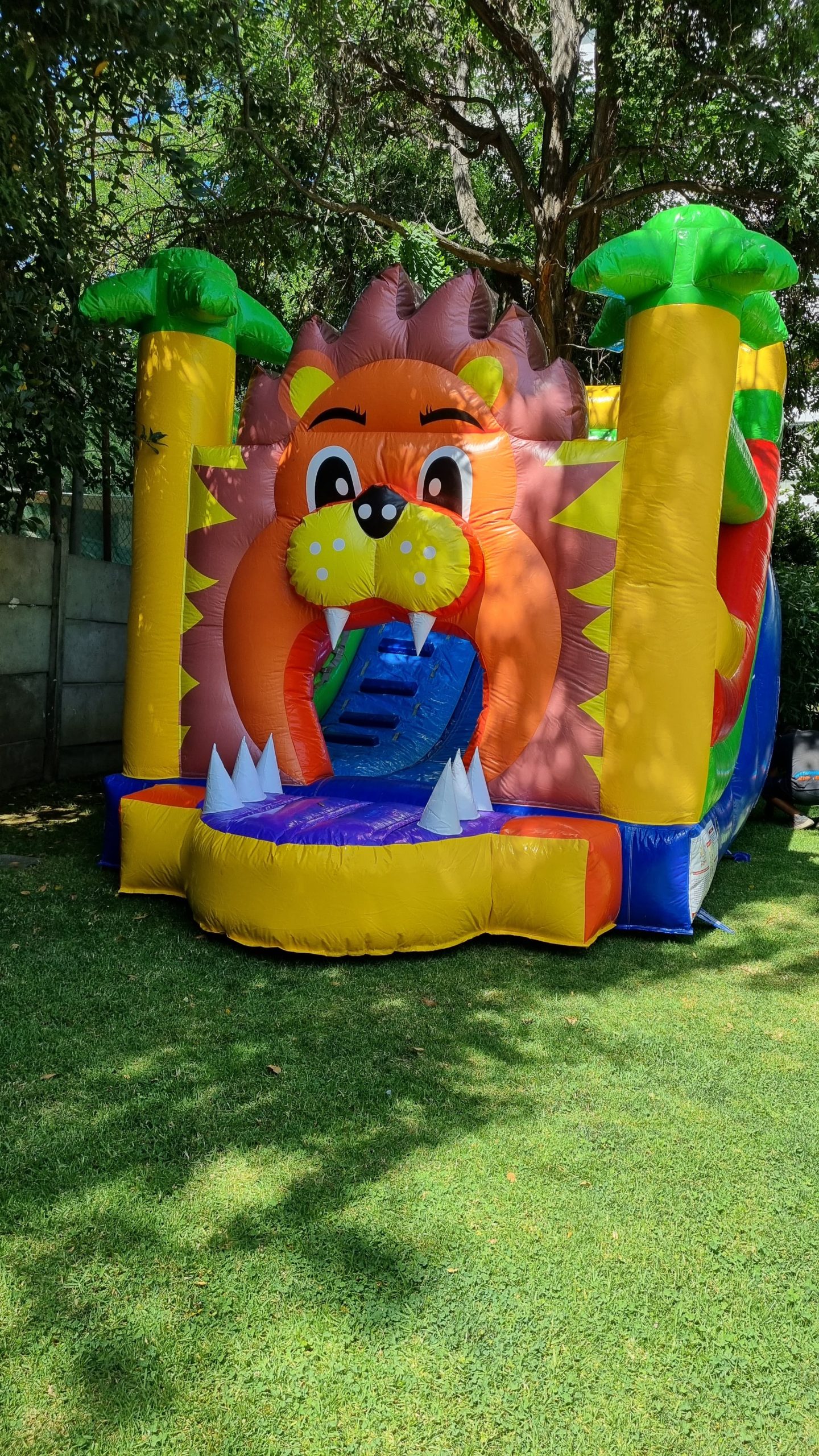 Tobogan león